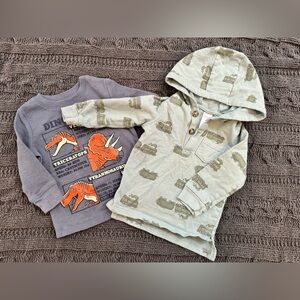 Carter's Gray and Green Dinosaur & Train Sweatshirts